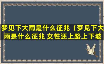 梦见下大雨是什么征兆（梦见下大雨是什么征兆 女性还上路上下坡急转）